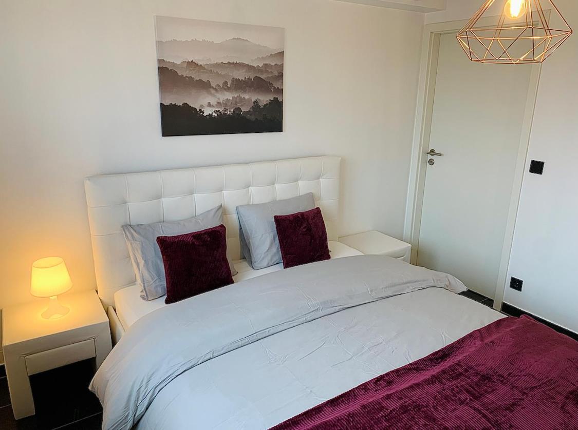 Esch/Alzette City Apartment Zewnętrze zdjęcie